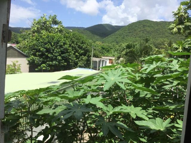 Habitation Baliache - Maison créole avec jardin privatif, plage à 200m Deshaies Exterior foto